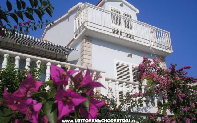 Apartamenty Senka - nocleg Korcula Chorwacja