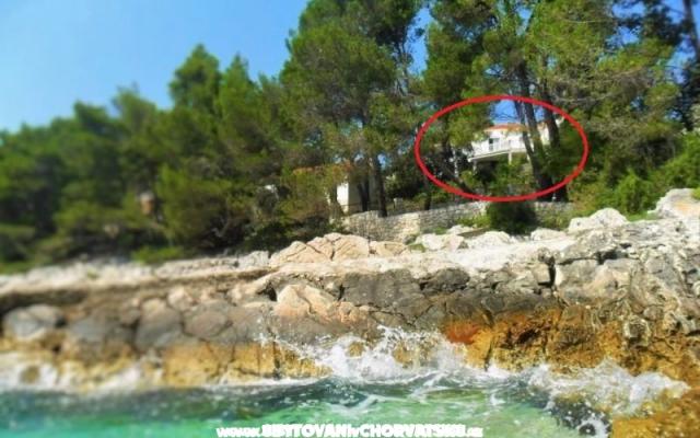 Apartamenty Marica Pecotić  - nocleg Korcula Chorwacja