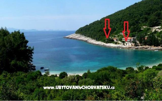 Apartamenty Šain - nocleg Korcula Chorwacja