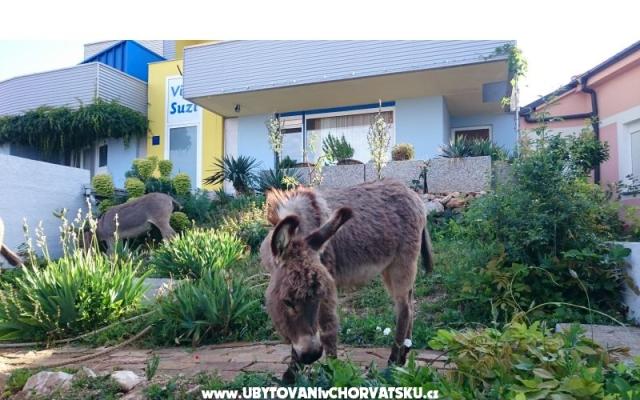 Villa Suzi - nocleg Kraljevica Chorwacja