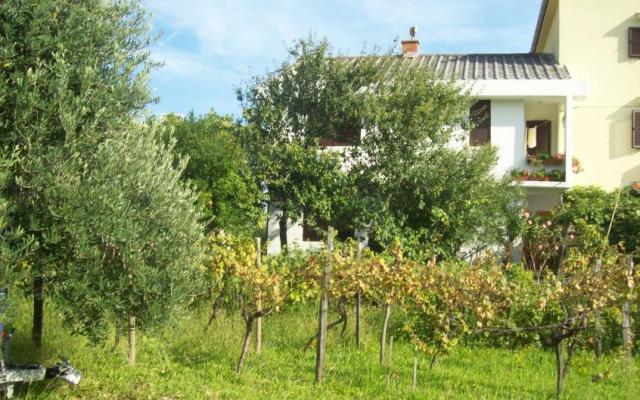 Apartamenty Vasilić - nocleg eiland Krk Chorwacja