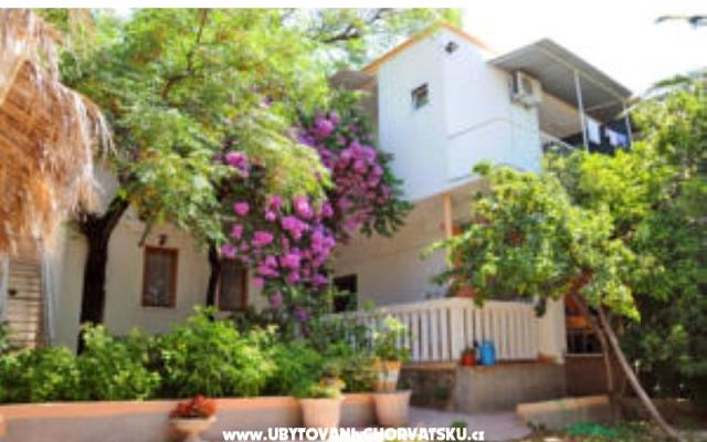 Apartamenty Oaza - nocleg Makarska Chorwacja