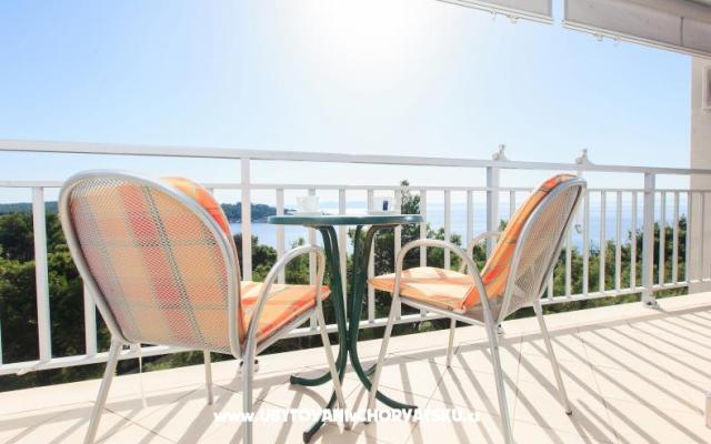 Apartamenty Veronika - nocleg Makarska Chorwacja