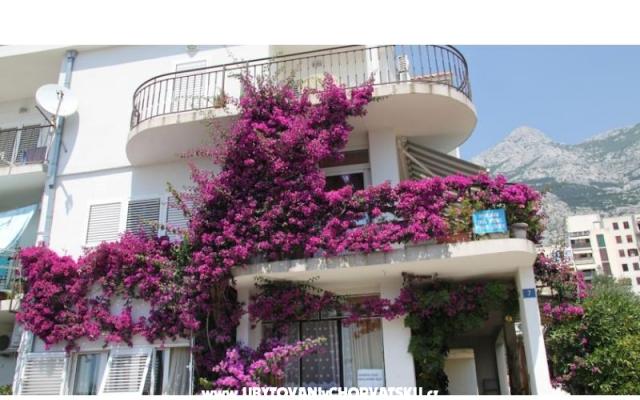 Apartamenty ANTE - nocleg Makarska Chorwacja