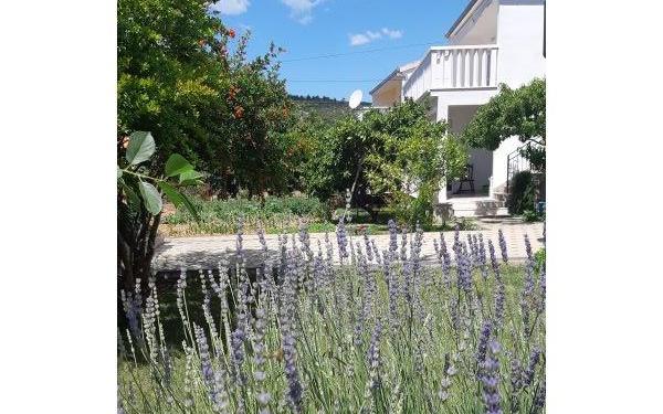 Slavko Šain - nocleg Marina - Trogir Chorwacja