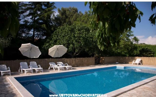Sanja Apartamenty Novigrad - nocleg Novigrad Chorwacja