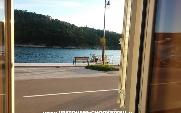 Sea View Apartament Dino - nocleg Novigrad Chorwacja