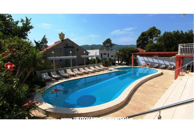 Apartamenty Villa Mediterrane - nocleg Orebic – Peljesac Chorwacja