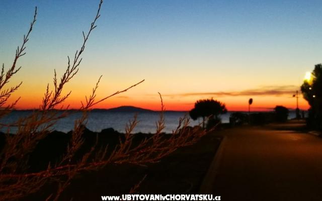 Apartamenty Elenor - nocleg eiland Pag Chorwacja