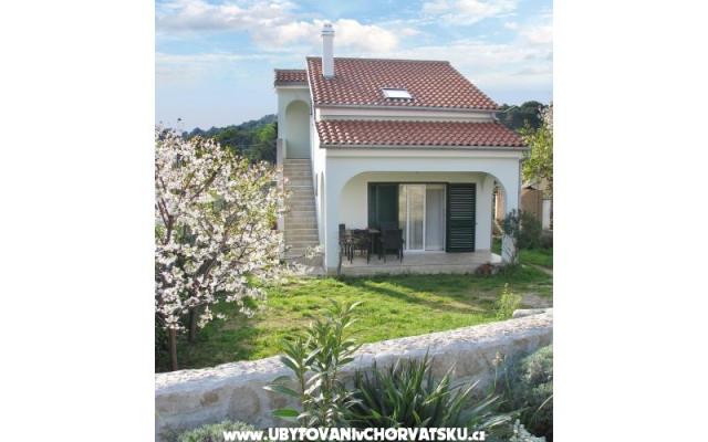 Apartament Niko - nocleg eiland Pasman Chorwacja