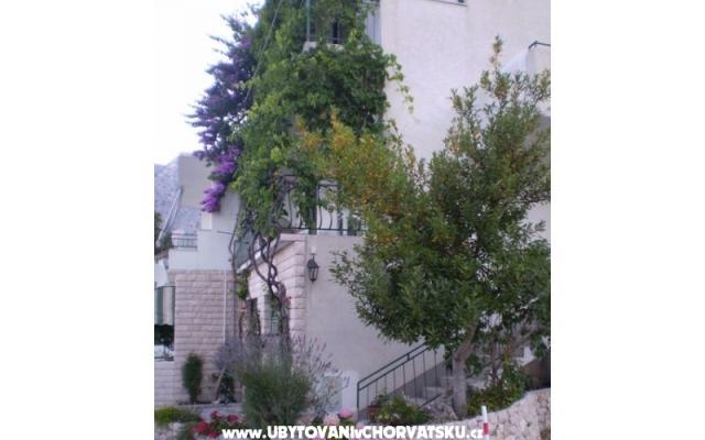 Apartamenty Antonela - nocleg Podgora Chorwacja