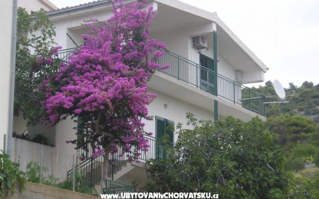 Apartamenty Neva - nocleg Primosten Chorwacja