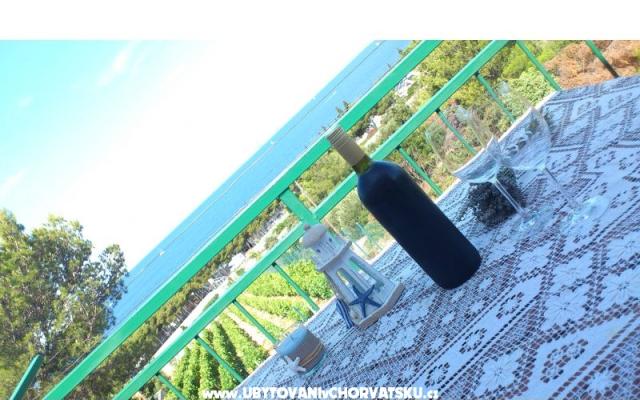 Apartamenty vila Diana - nocleg Primosten Chorwacja