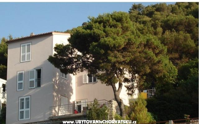 Vila Andrea - nocleg Primosten Chorwacja