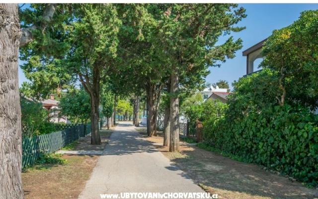 Apartamenty Natali - nocleg Privlaka Chorwacja