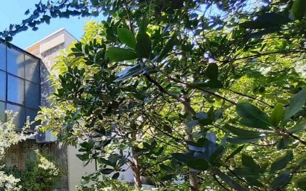 Apartament Zora Pula - nocleg Pula Chorwacja