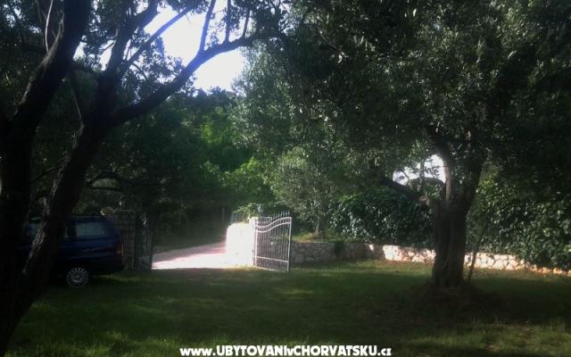 Apartamenty Bešić - nocleg eiland Rab Chorwacja
