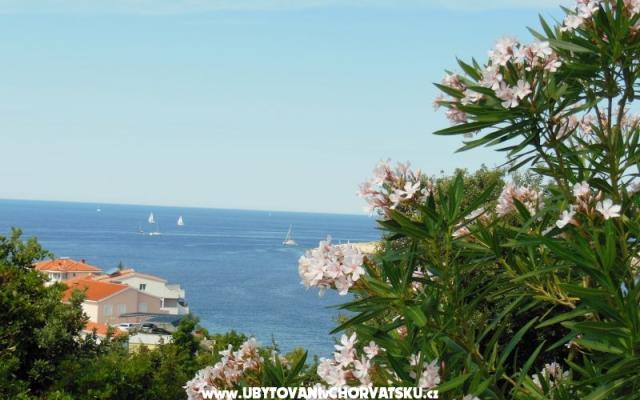 Apartamenty Ante - nocleg Rogoznica Chorwacja