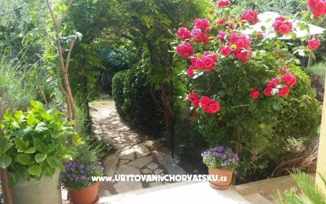 Vila Arboretum Šibenik - nocleg Sibenik Chorwacja