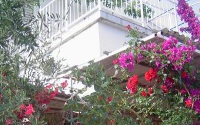 Apartamenty Zdravka -15% - nocleg eiland Solta Chorwacja