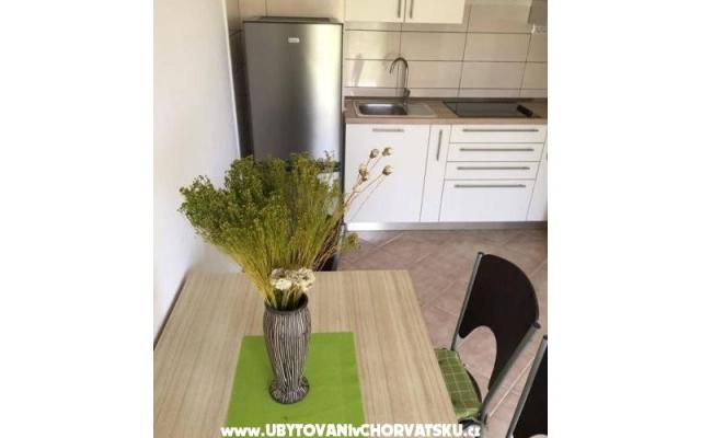 Apartamenty Jelena  - nocleg Split Chorwacja