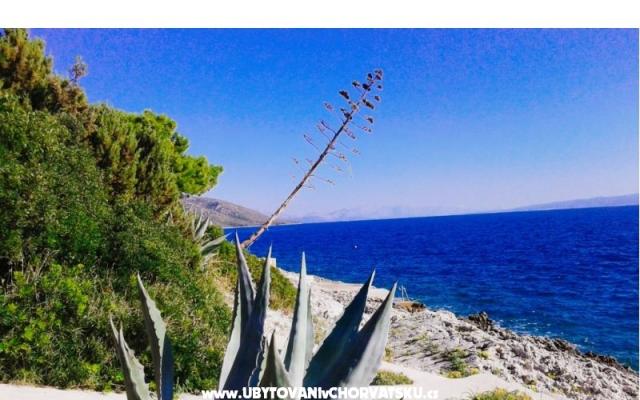 Goga Apartamenty - nocleg Trogir Chorwacja