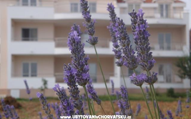 Villa Marija agroturizam - nocleg Trogir Chorwacja