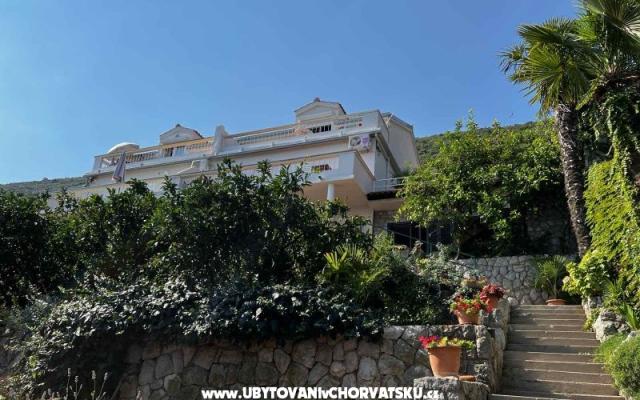 Vila Nautilus luxury Apartamenty - nocleg Trpanj – Peljesac Chorwacja