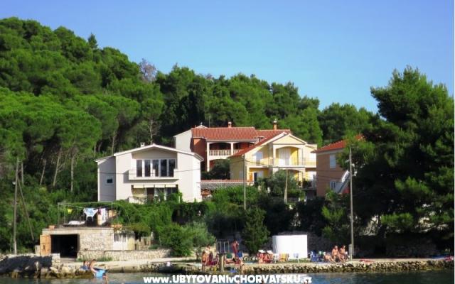Apartamenty Tereza - nocleg eiland Ugljan Chorwacja