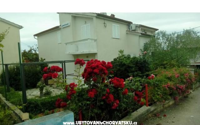 Apartamenty Tomislav - nocleg eiland Ugljan Chorwacja