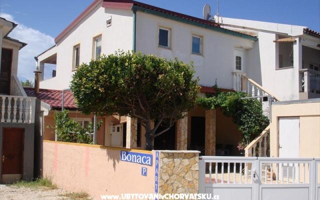 Apartament Marovic - nocleg eiland Vir Chorwacja
