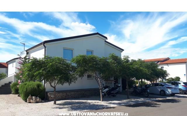 Apartament Filipašić - nocleg eiland Vir Chorwacja