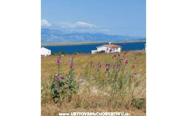 Apartamenty Mišković - nocleg eiland Vir Chorwacja