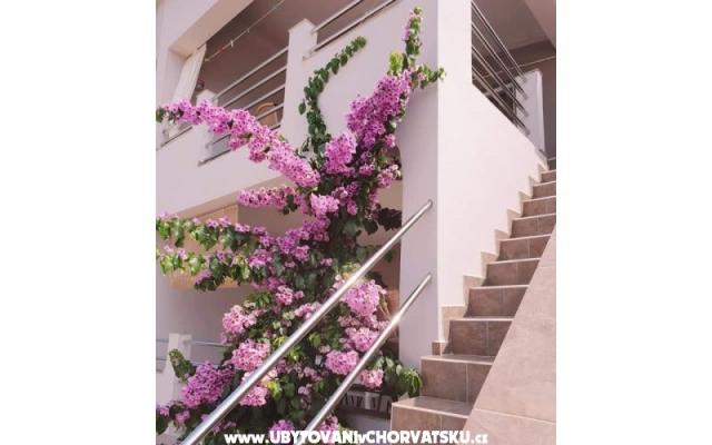Apartamenty Maja - nocleg eiland Vir Chorwacja