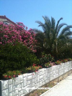 Apartament Lučica - nocleg eiland Vir Chorwacja