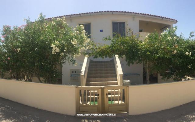 Apartamenty Anda - nocleg eiland Vir Chorwacja