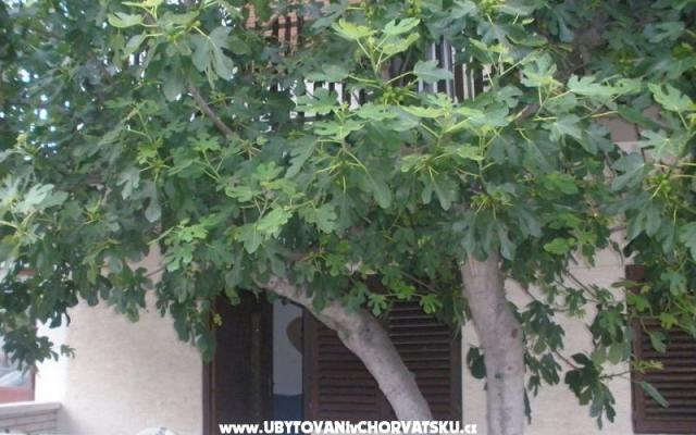 Apartamenty  Smokva   - nocleg Vodice Chorwacja