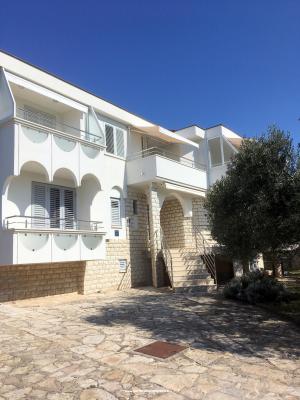 Galeb - nocleg Vodice Chorwacja