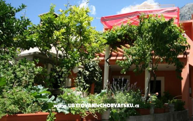 Apartament Mirjana - nocleg Zivogosce Chorwacja