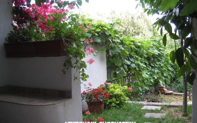 Apartamenty Brajković - nocleg Zivogosce Chorwacja