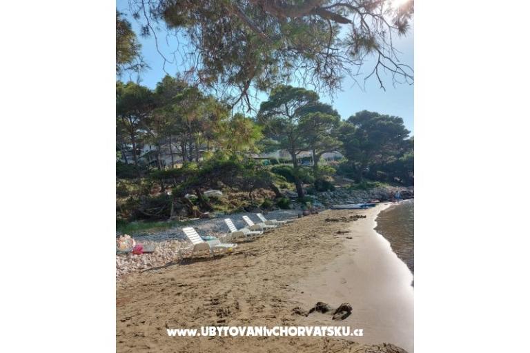 Apartamenty Ivo Mljet – foto 8