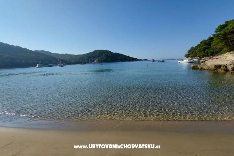 Apartamenty Ivo Mljet – foto 9