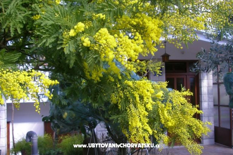Apartamenty Bašković – foto 17
