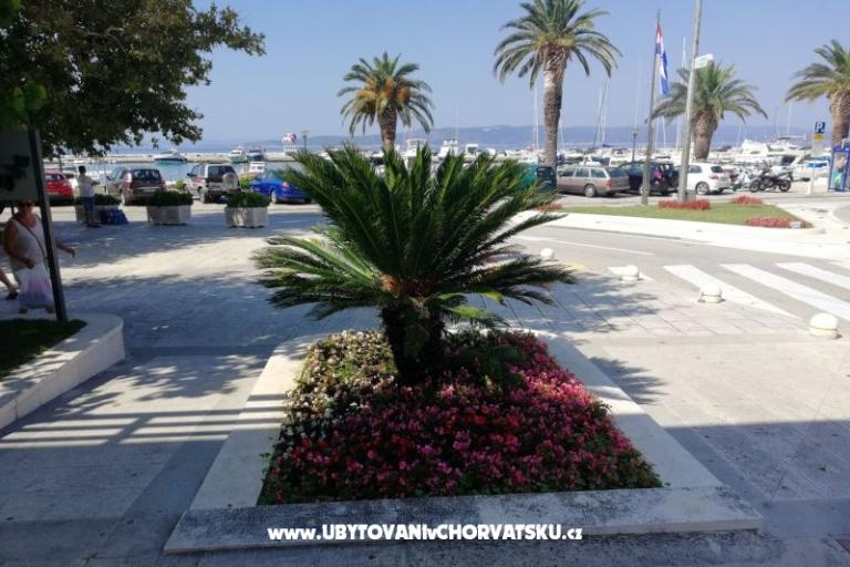 Apartamenty Divić - Villa Mateo  – foto 19