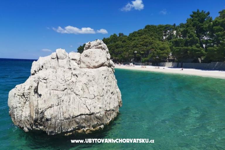 Apartamenty Divić - Villa Mateo  – foto 32