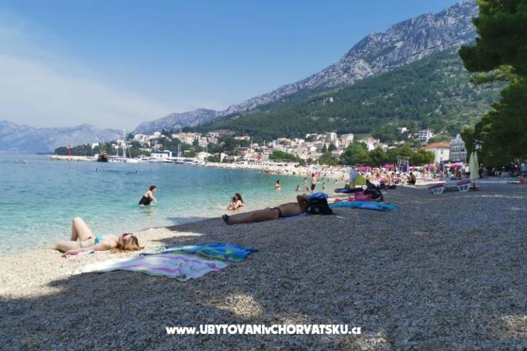 Apartamenty Divić - Villa Mateo  – foto 34