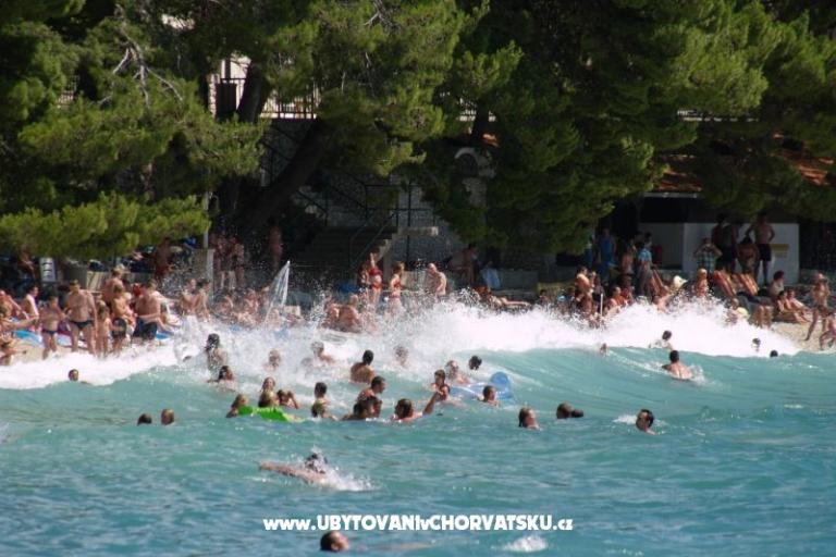 Apartamenty i sobe PAULA – foto 9