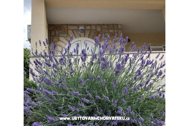 Apartamenty Iva – foto 10
