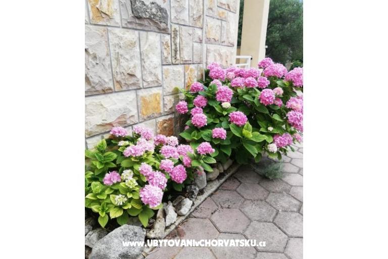 Apartamenty Iva – foto 12