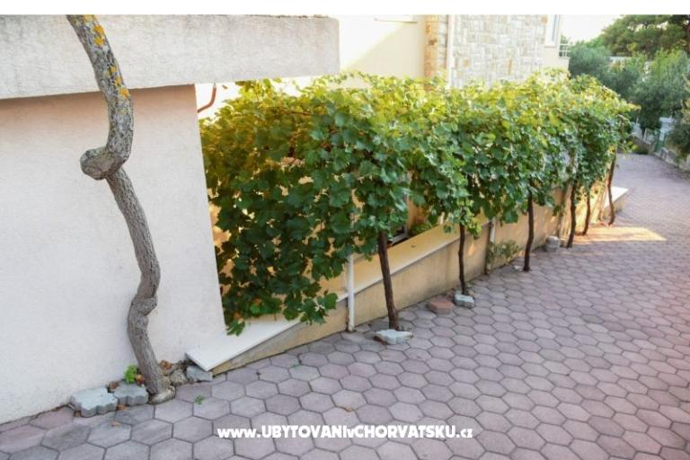 Apartamenty Iva – foto 13